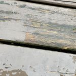 IMG_1287