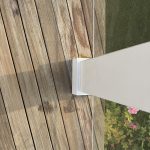 IMG_3519-2