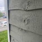 IMG_8677
