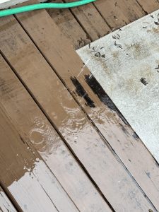 IMG_0763