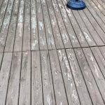 IMG_0824