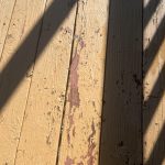 IMG_7876