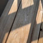 IMG_1725