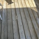 IMG_0789