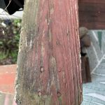 IMG_8807